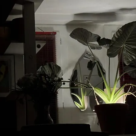 Red Flat דירה